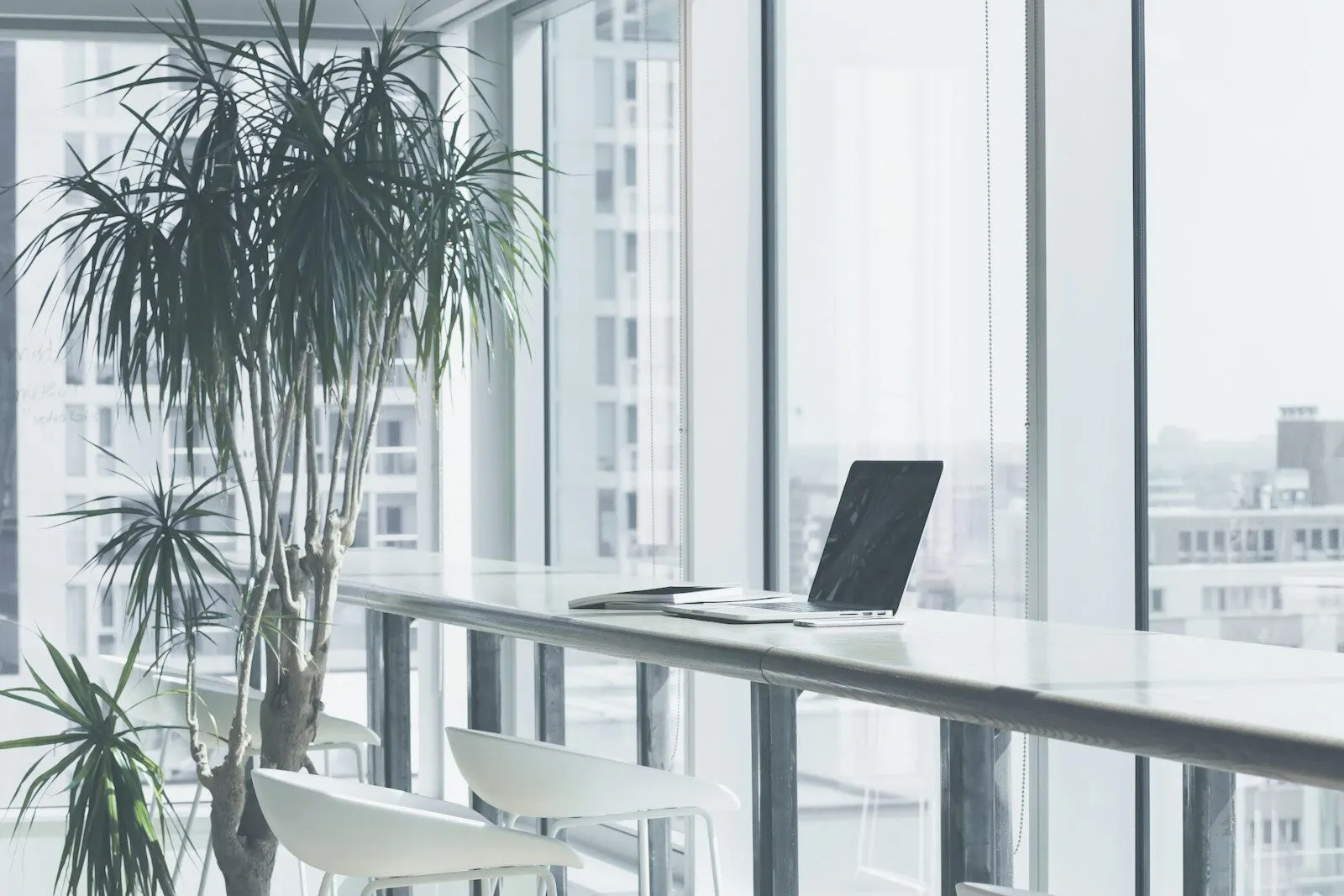 Bright office